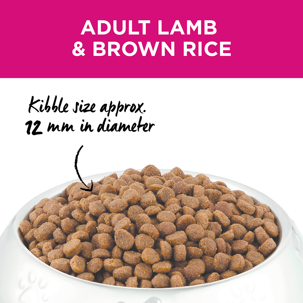 Buy Ivory Coat Dry Dog Food Adult Lamb And Brown Rice Online Better