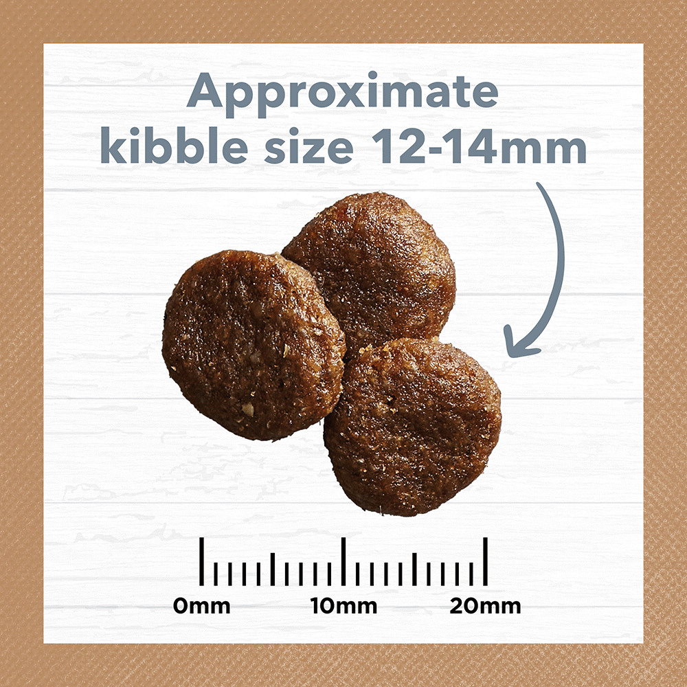 ivory coat companion goods