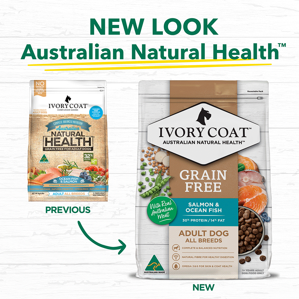 metal dog house design