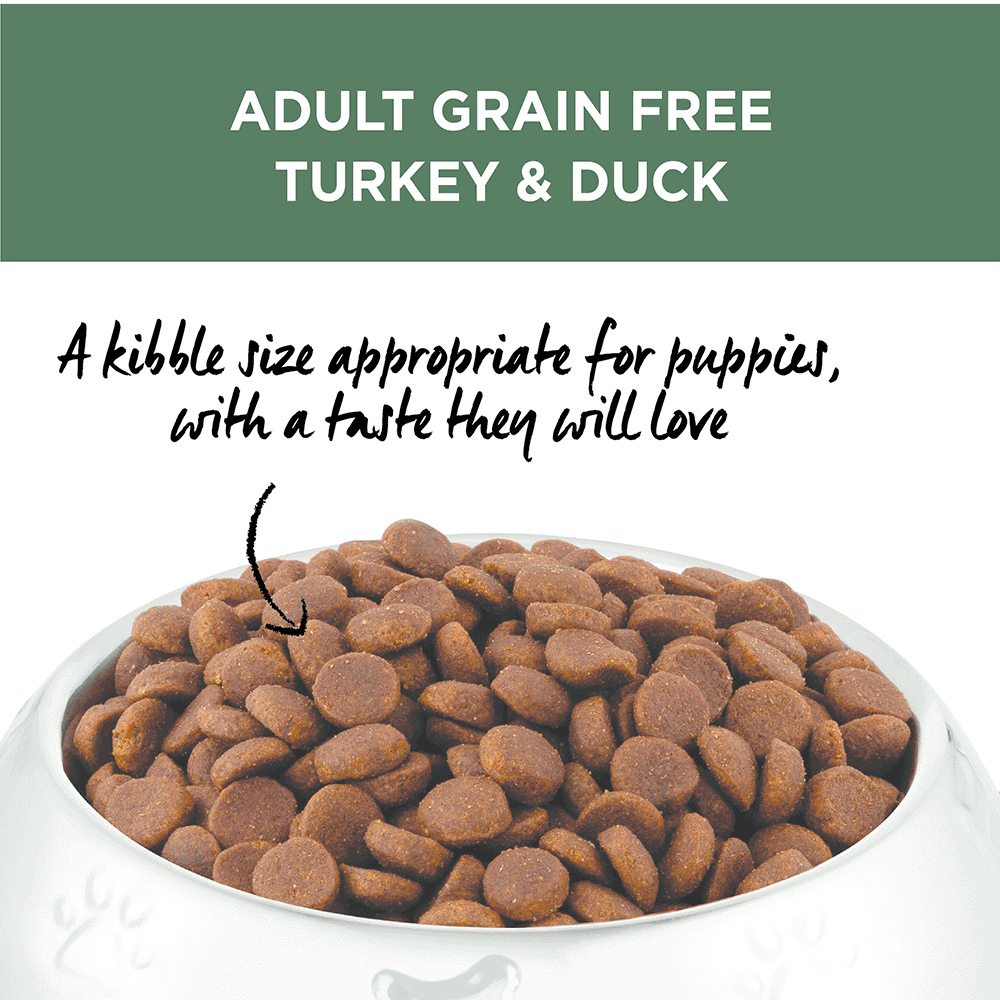 Buy Ivory Coat Grain Free Dry Dog Food Adult Turkey And Duck Online Better Prices At Pet Circle