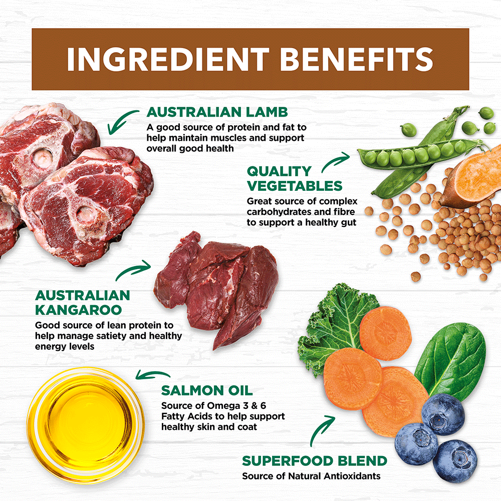 ivory coat dry dog food