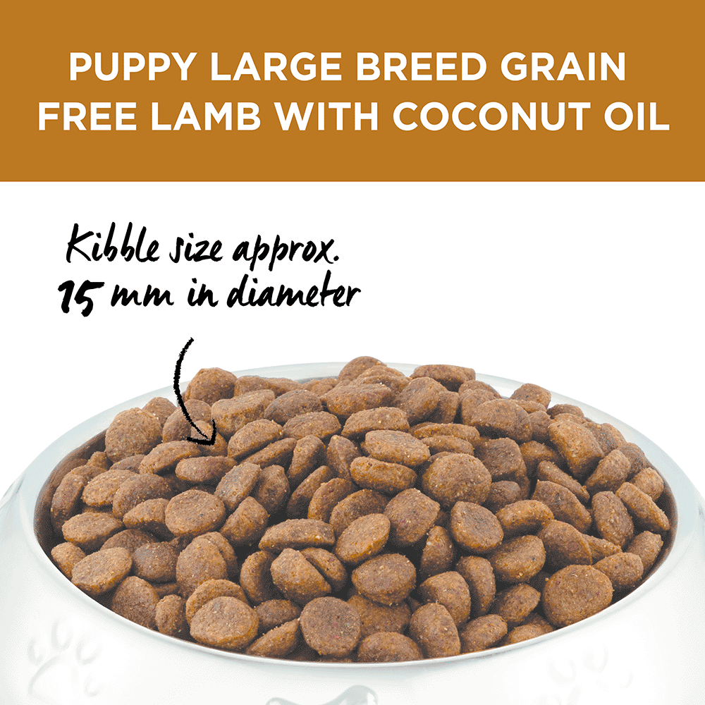 Buy Ivory Coat Grain Free Dry Dog Food Large Breed Puppy Lamb With