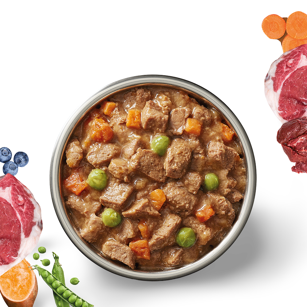 Buy Ivory Coat Wet Dog Food Adult Lamb And Kangaroo Stew Can Online