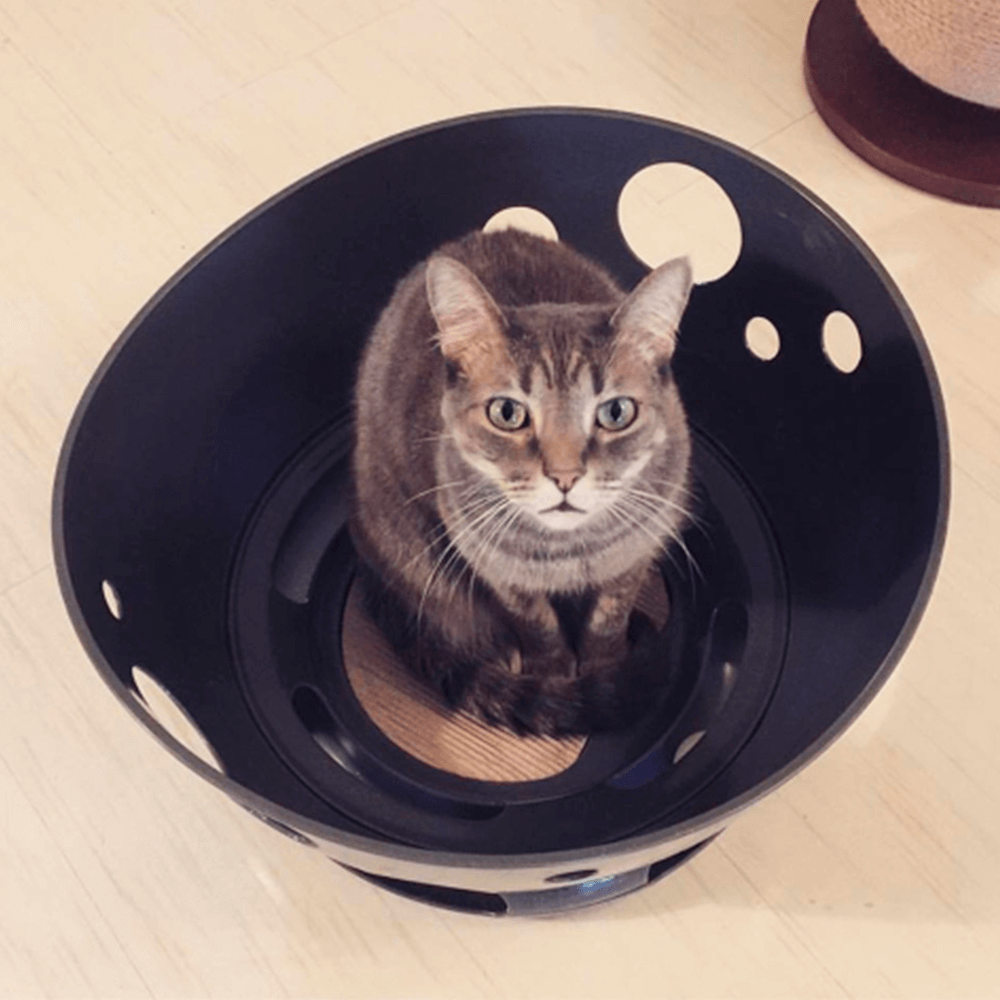 Buy Jackson Galaxy Space Station Cat Toy Online Low Prices, Free Shipping