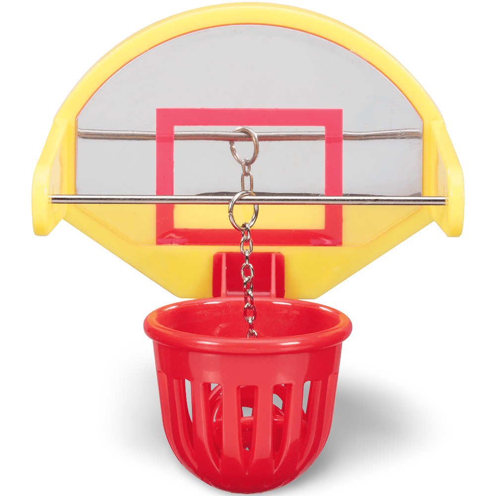 birdie basketball