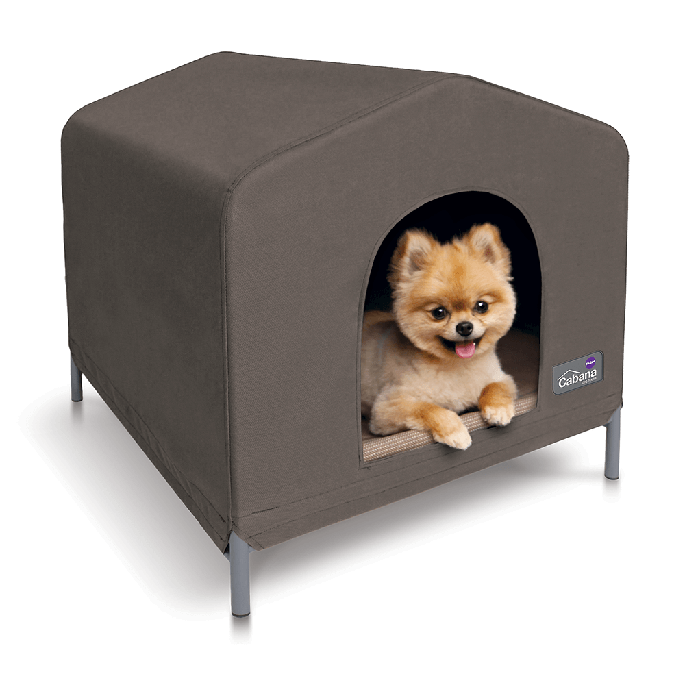Buy Kazoo Cabana Dog House Cappuccino Online Low Prices, Free Shipping