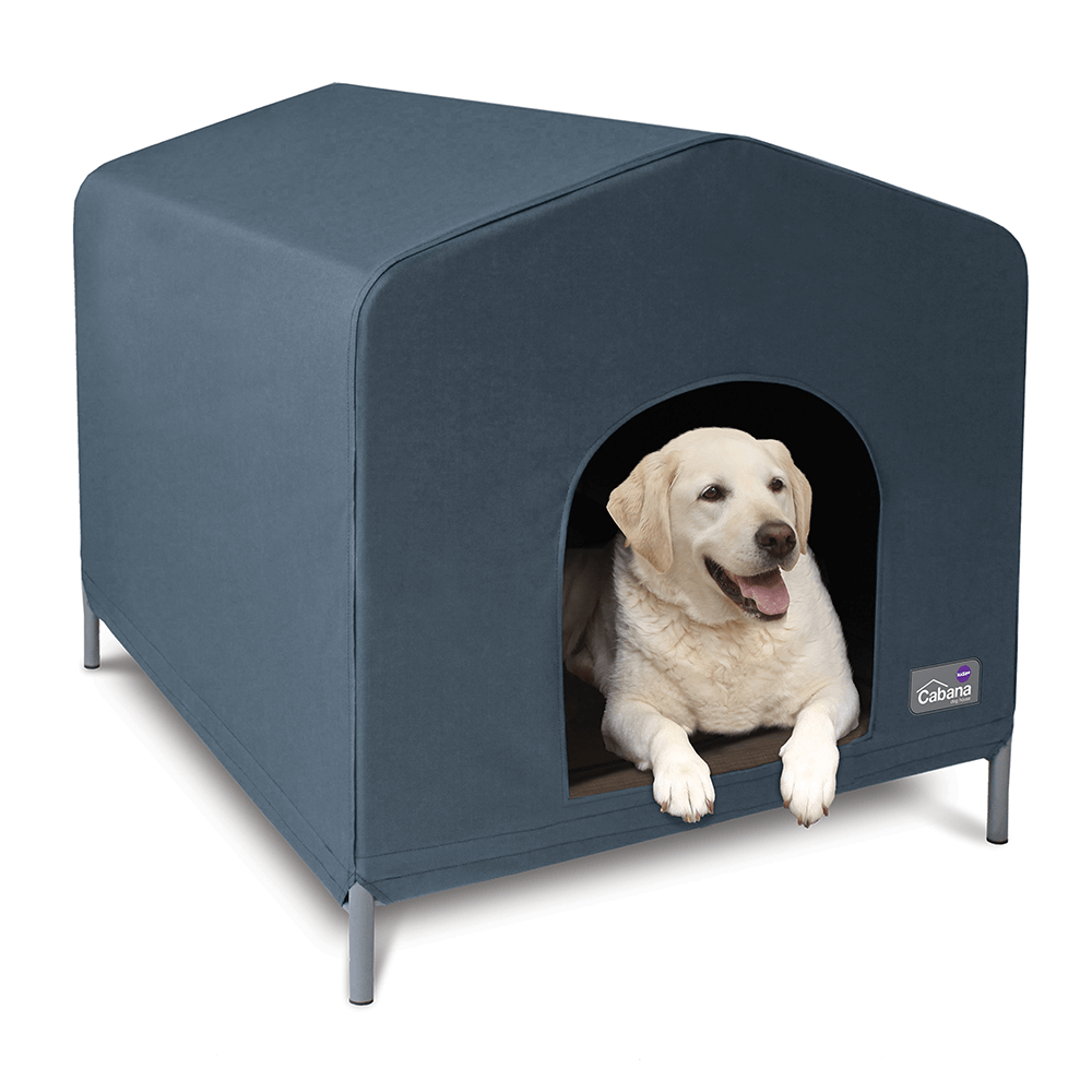 Buy Kazoo Cabana Dog House Cobalt Online Better Prices At Pet Circle