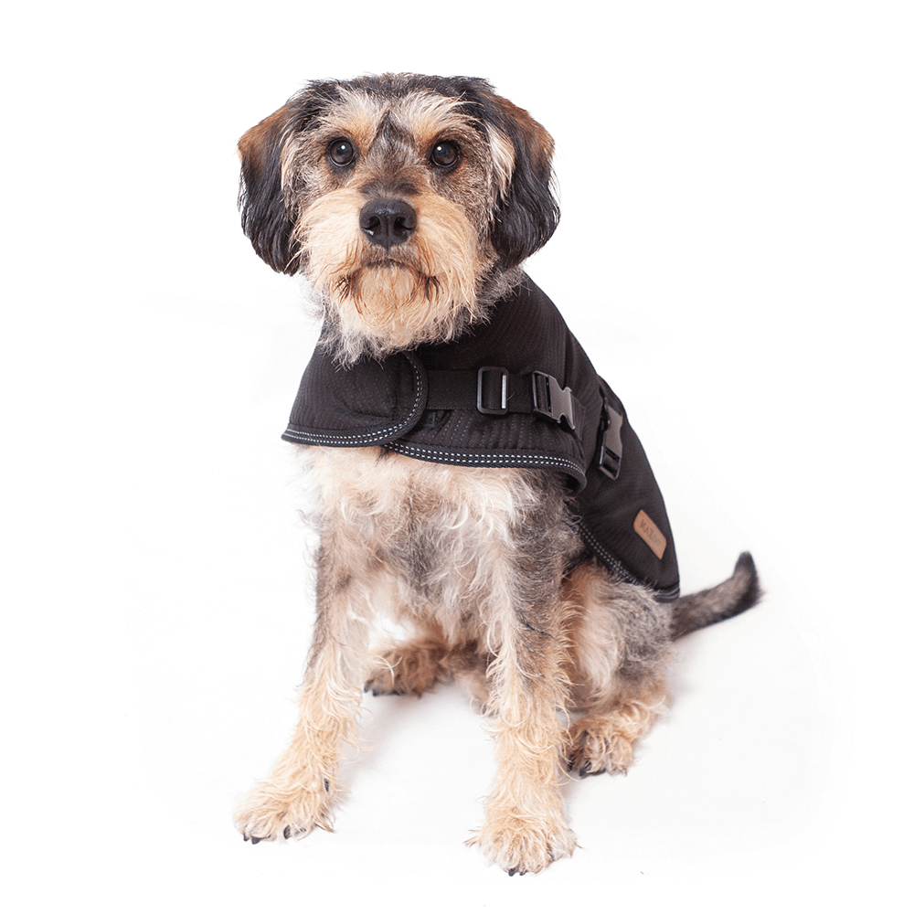 Buy Kazoo Coat Adventure Black Online Low Prices, Free Shipping