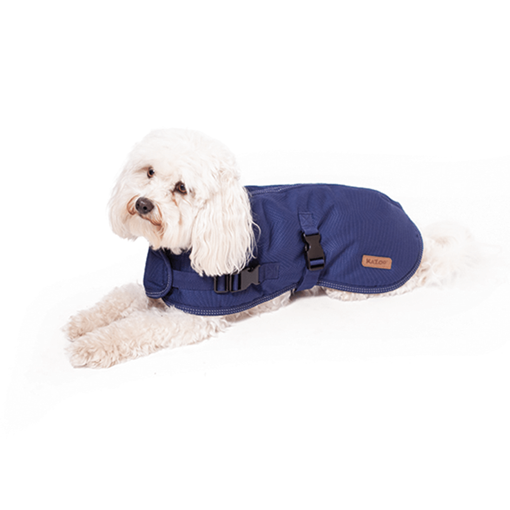 Buy Kazoo Coat Adventure Blue Online Low Prices, Free Shipping