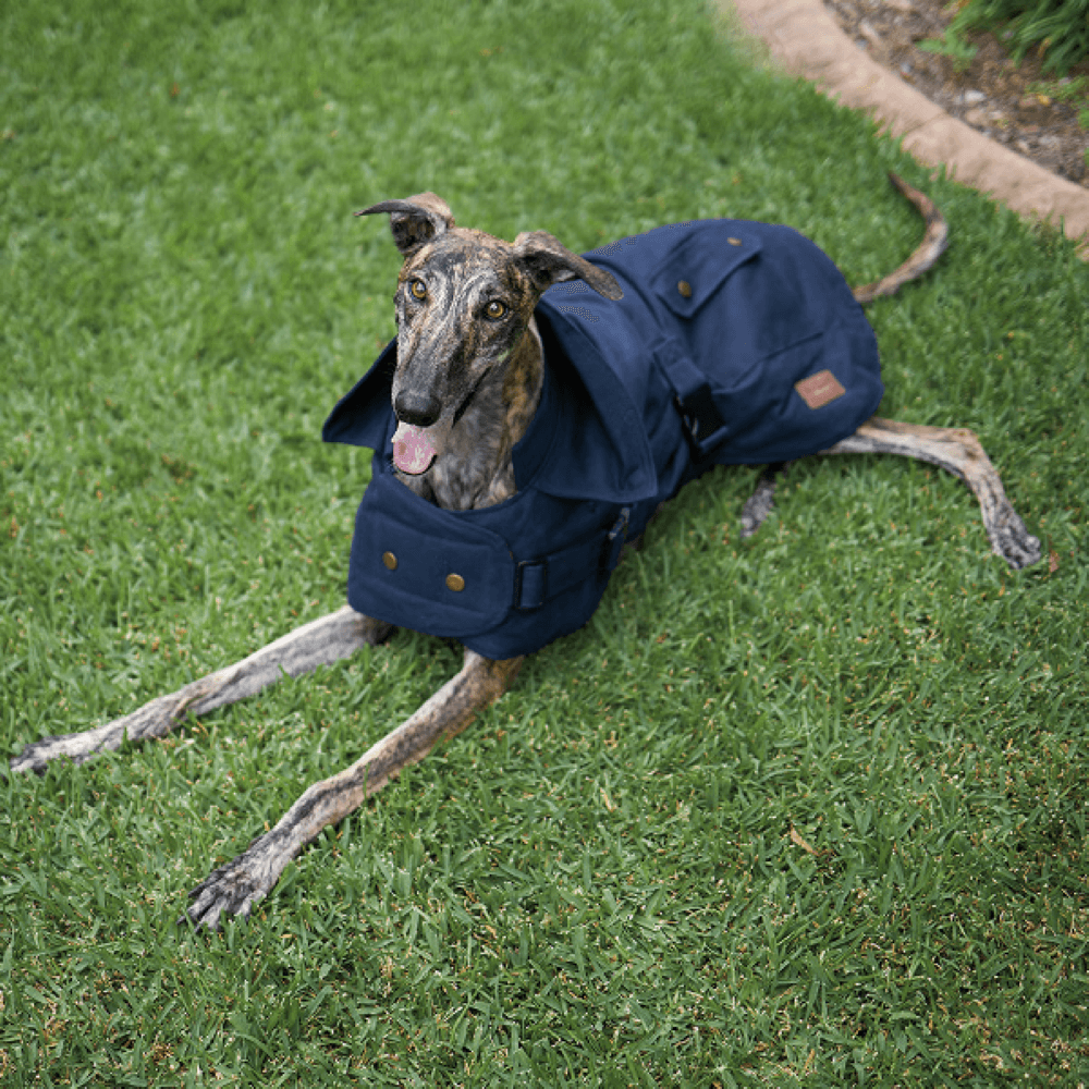 Buy Kazoo Coat Aussie Oilskin Navy Online Low Prices, Free Shipping