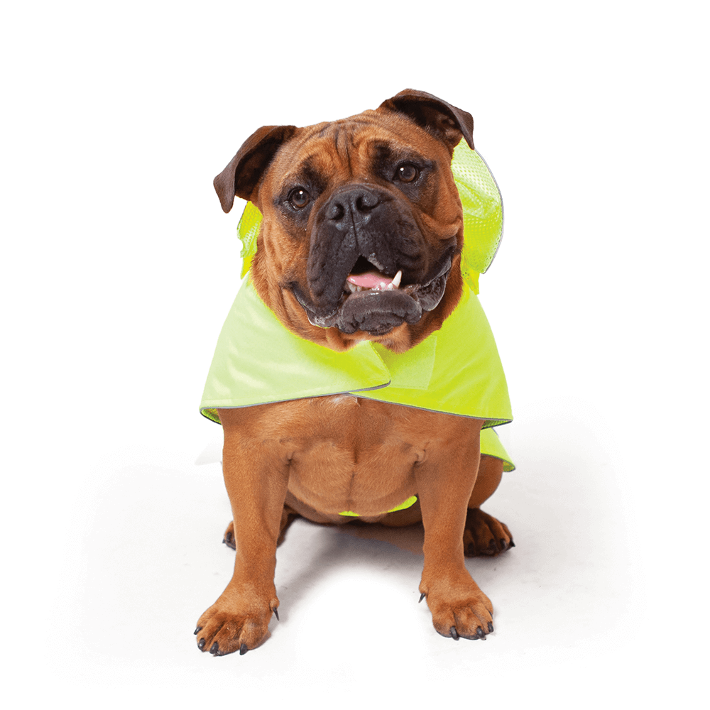 kazoo snuggle jacket