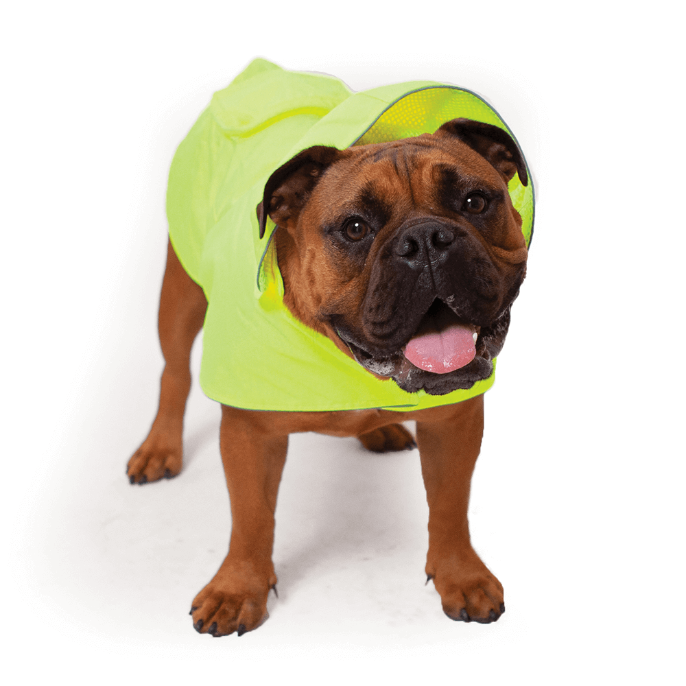 kazoo snuggle jacket