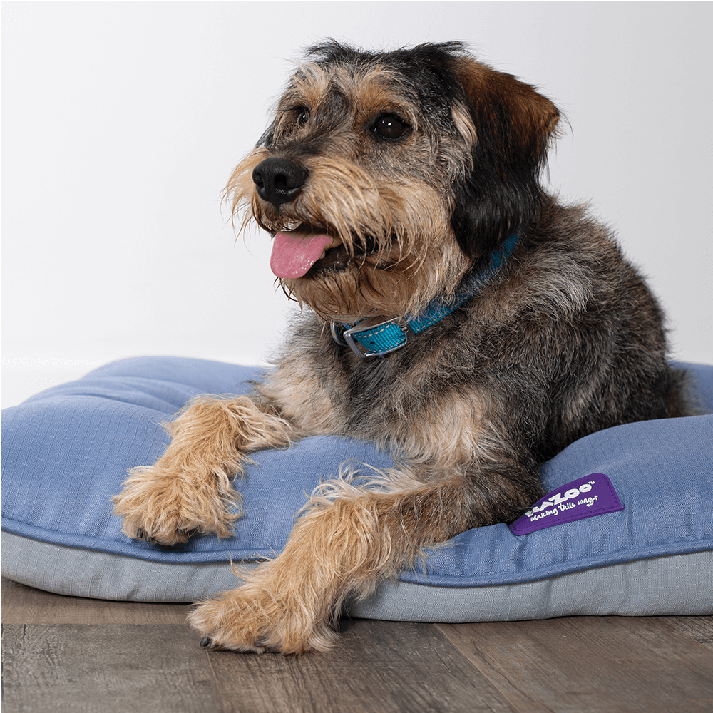 Buy Kazoo Dog Bed Porch Pillow Assorted Online Low Prices, Free Shipping
