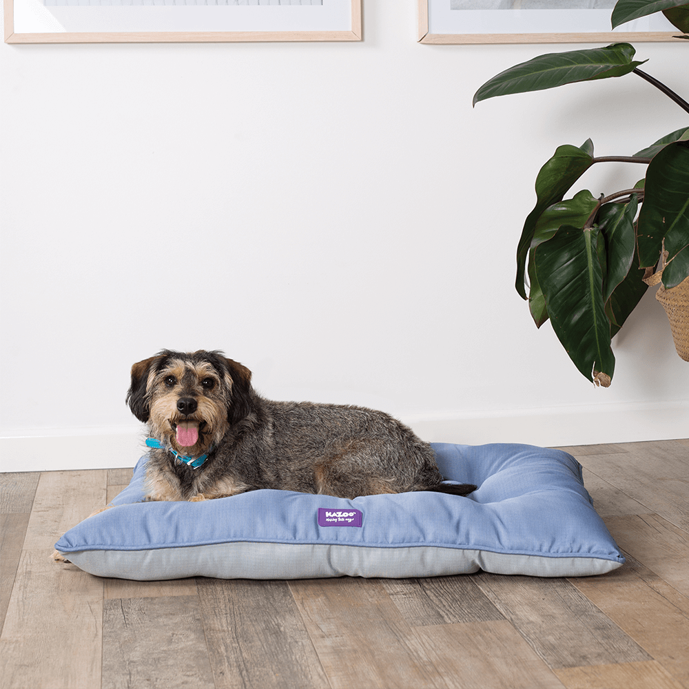 Buy Kazoo Dog Bed Porch Pillow Assorted Online Low Prices, Free Shipping