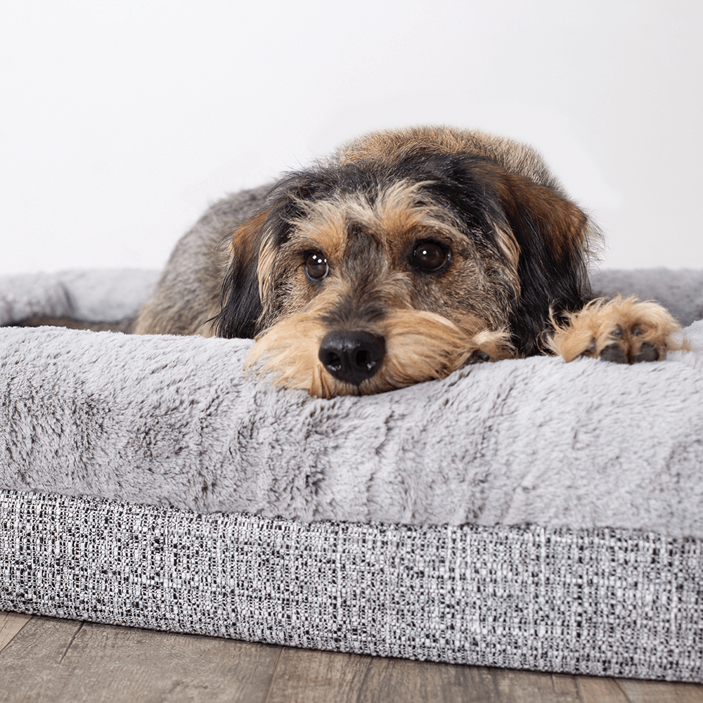 Buy Kazoo Dog Bed Wombat Grey Online Better Prices At Pet Circle