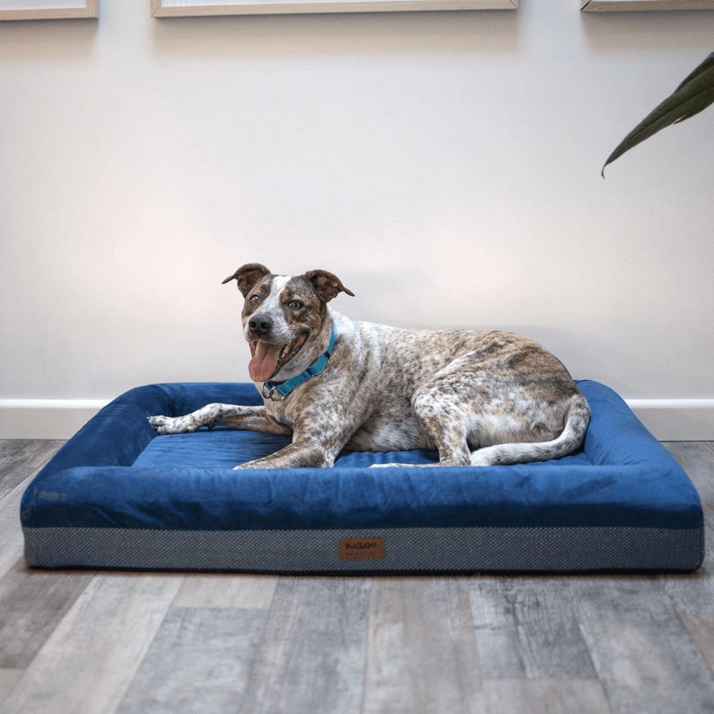 Buy Kazoo Dog Bed Wombat Midnight Blue Online Better Prices At Pet Circle