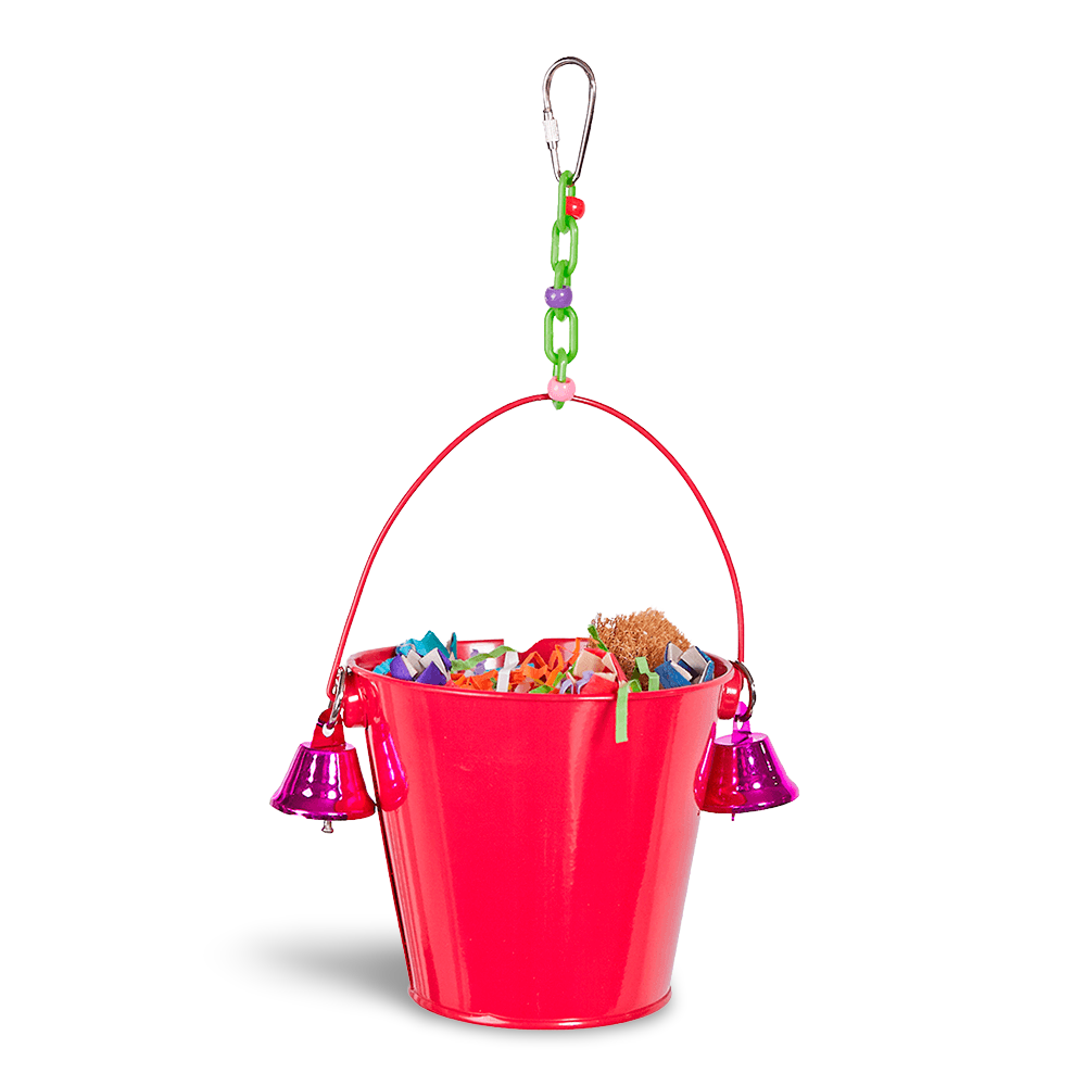 Buy Kazoo Festive Toy Bucket With Bells Bird Toy Online Low Prices