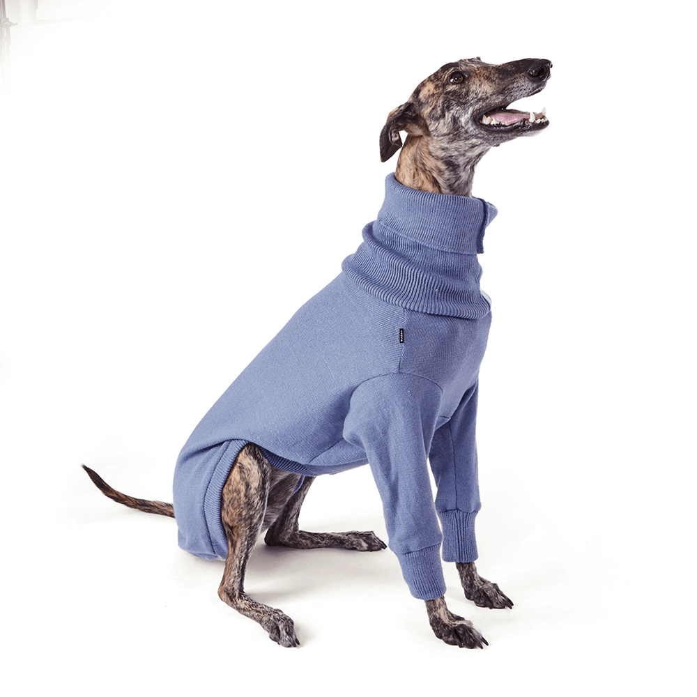 Buy Kazoo Jumper Greyhound Knit Brighton Online Better Prices At Pet