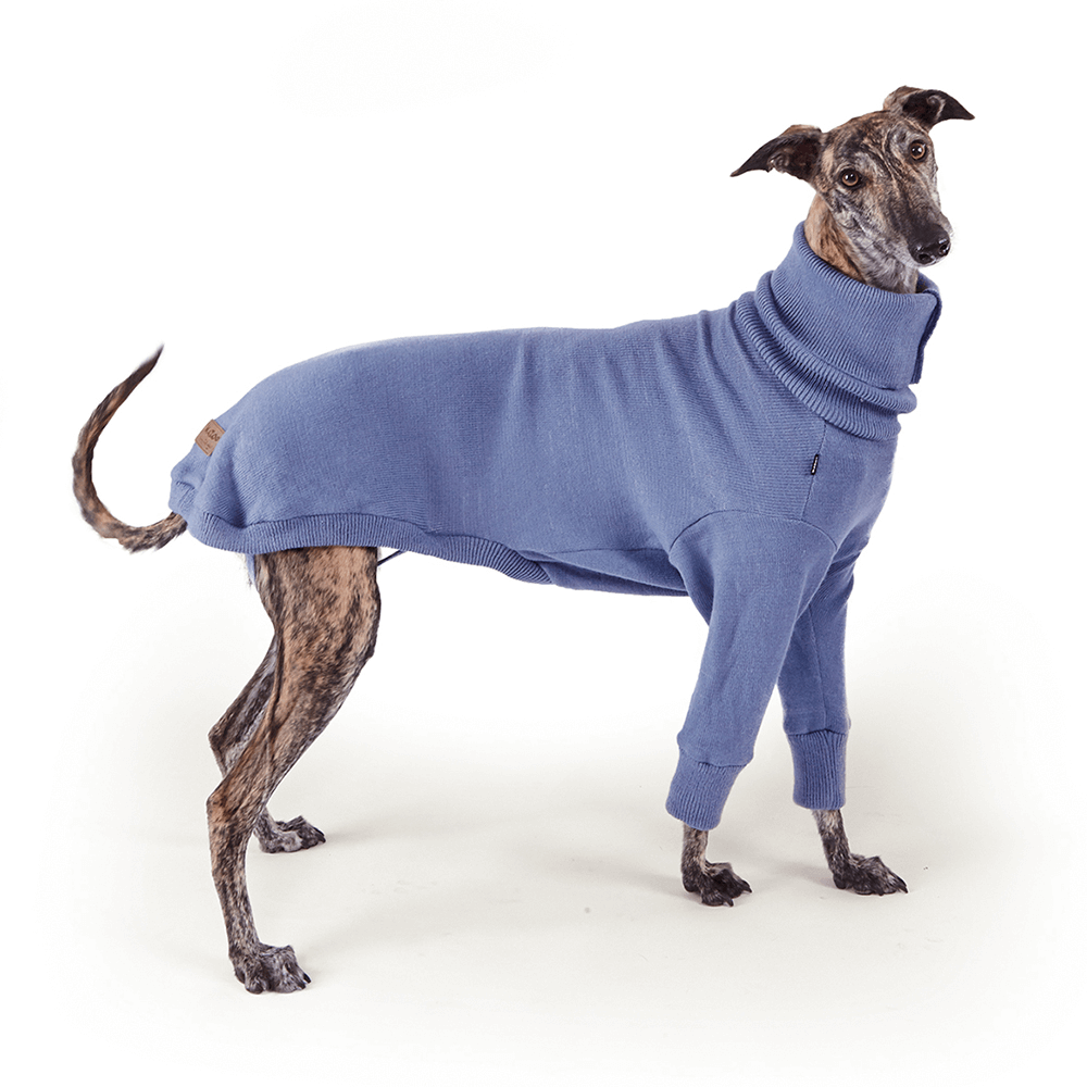 Buy Kazoo Jumper Greyhound Knit Brighton Online Better Prices At Pet