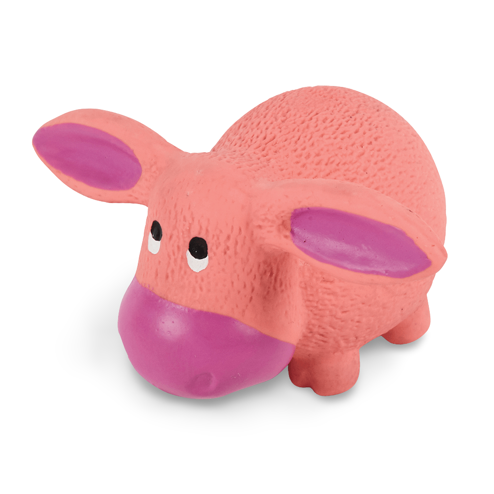 Buy Kazoo Latex Donkey Dog Toy Online Low Prices, Free Shipping