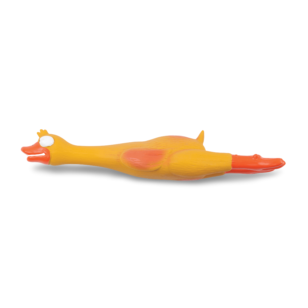 Buy Kazoo Latex Duck Online Better Prices At Pet Circle