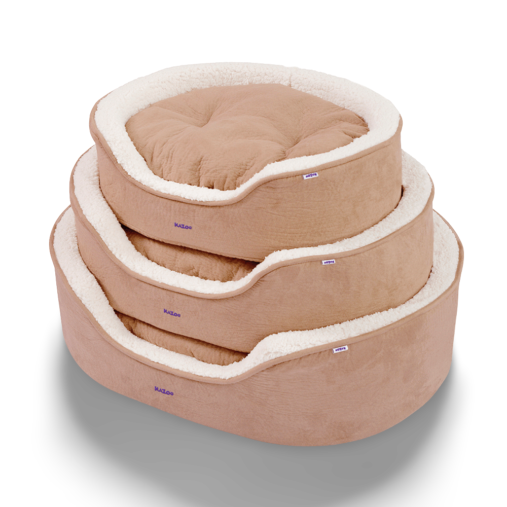 Buy Kazoo Manhattan Bed Coffee White Online Low Prices, Free Shipping