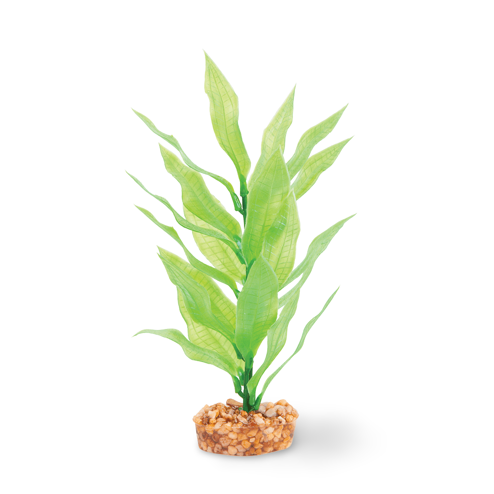 Buy Kazoo Plastic Plant Long Leaf Green Online Low Prices, Free Shipping