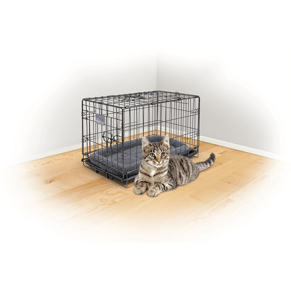 Buy Kazoo Premium Crate Online Better Prices At Pet Circle