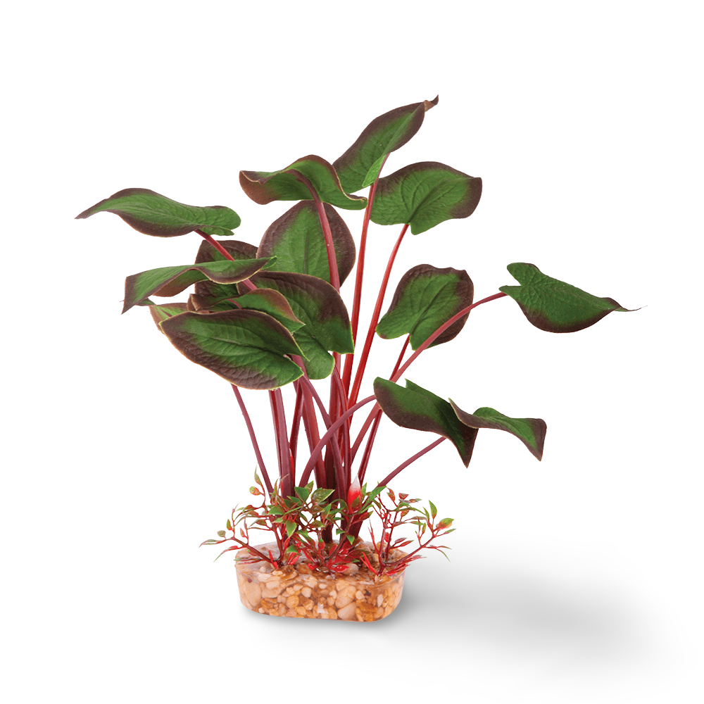 Buy Kazoo Silk Plant Large Leaf Dark Green Online Better Prices At