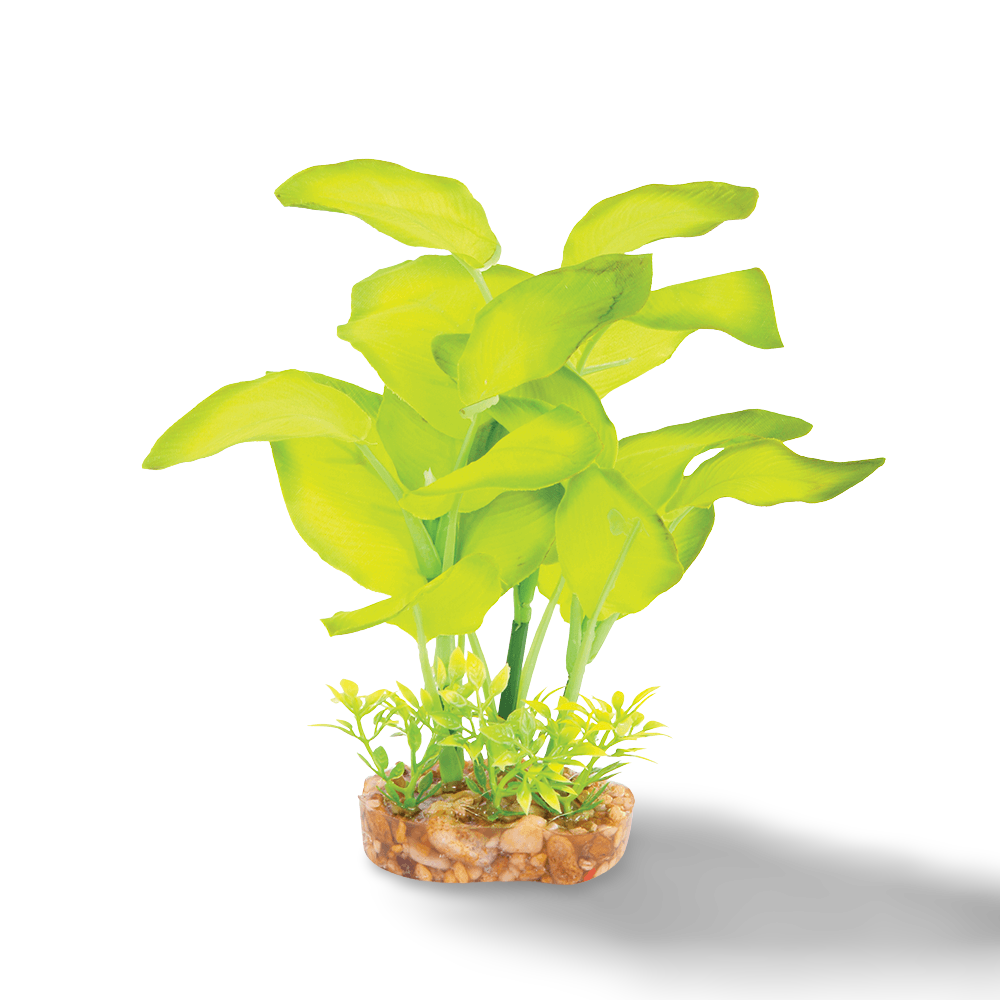 Buy Kazoo Silk Plant Large Leaf Green Online Low Prices, Free Shipping