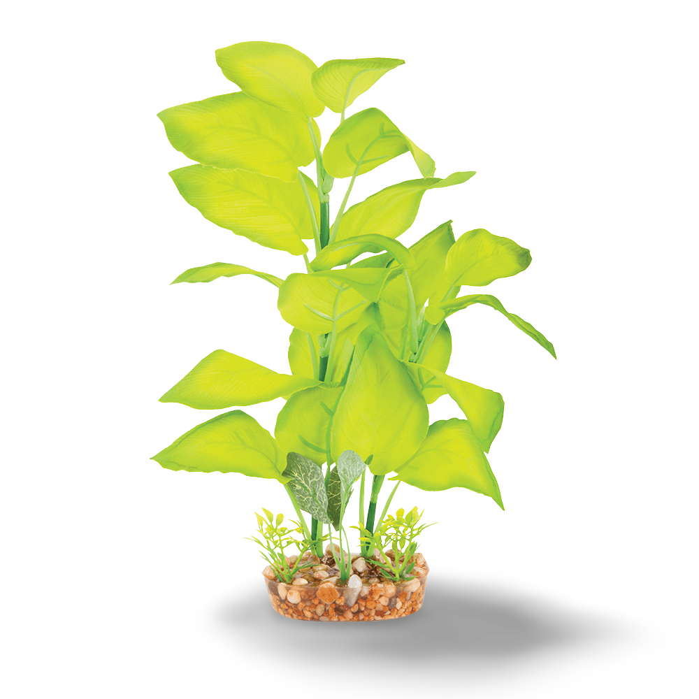 Buy Kazoo Silk Plant Large Leaf Green Online Low Prices, Free Shipping