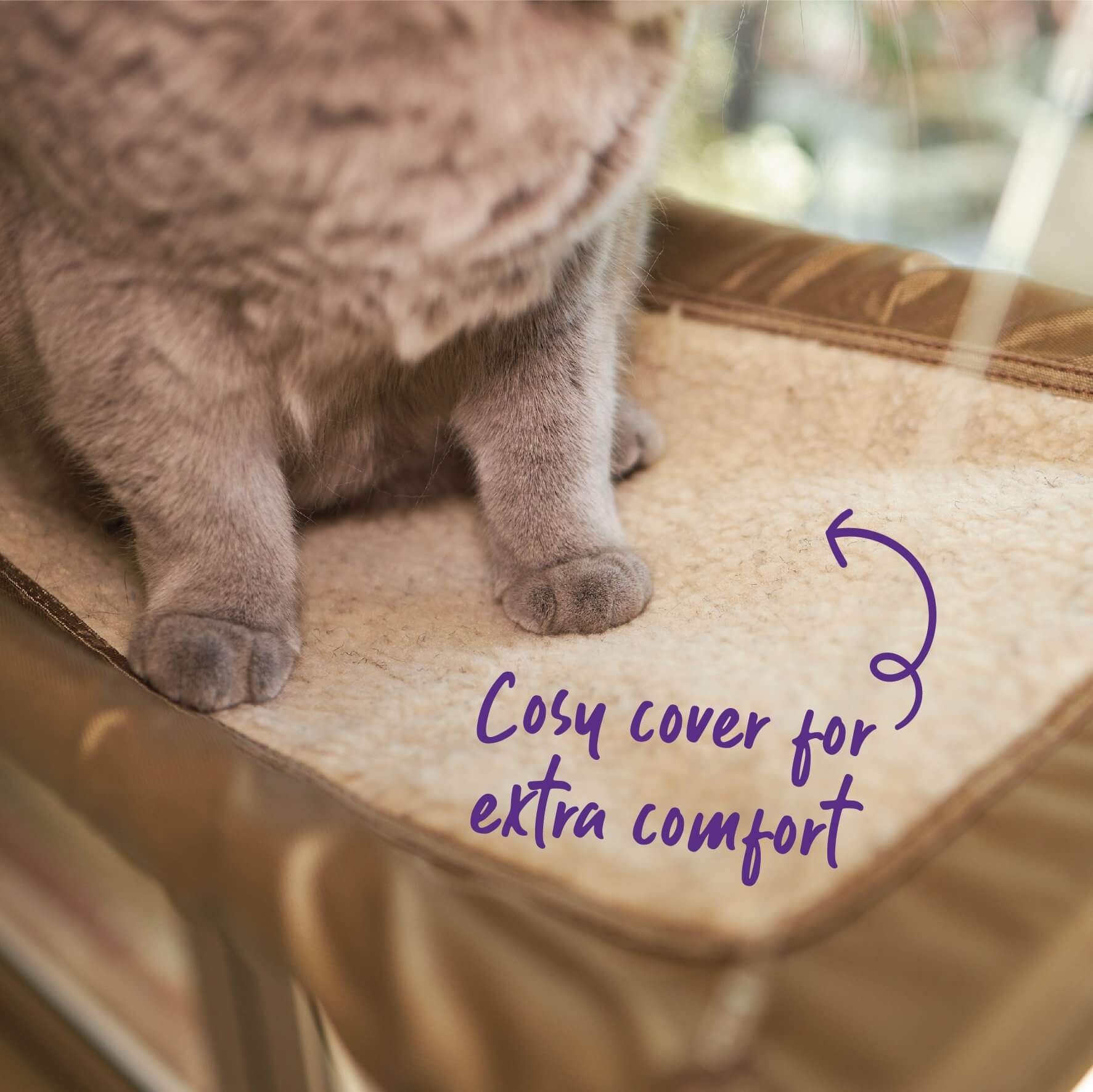 Buy Kazoo The Lookout Deluxe Window Cat Bed Online Better Prices At Pet Circle