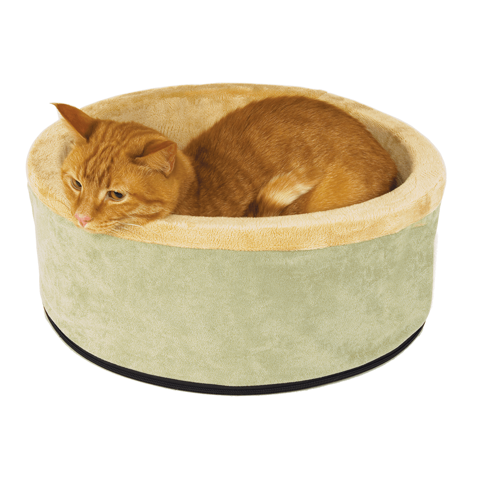 circular cat bed