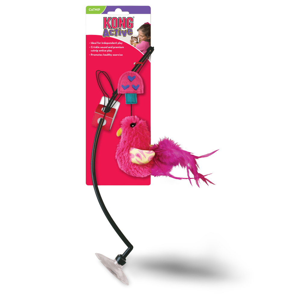 kong cat toys