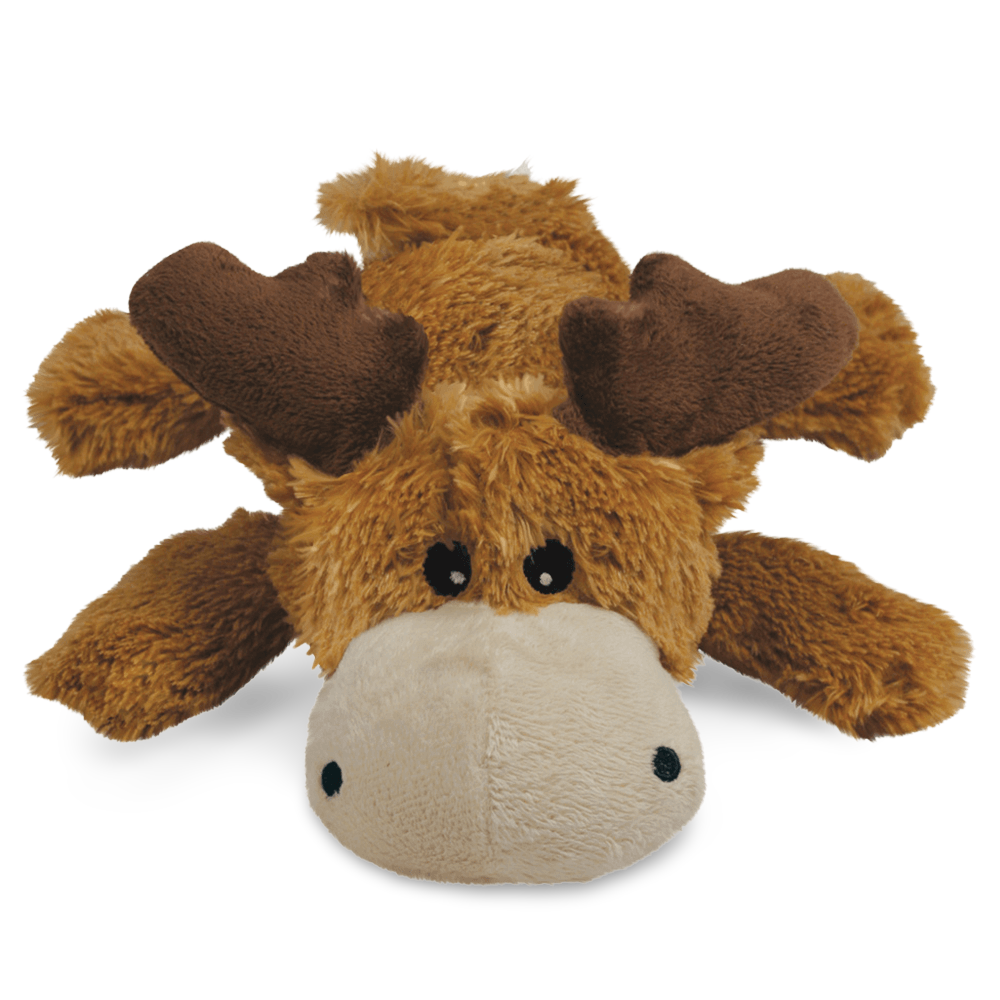 kong cozies dog squeaky toy