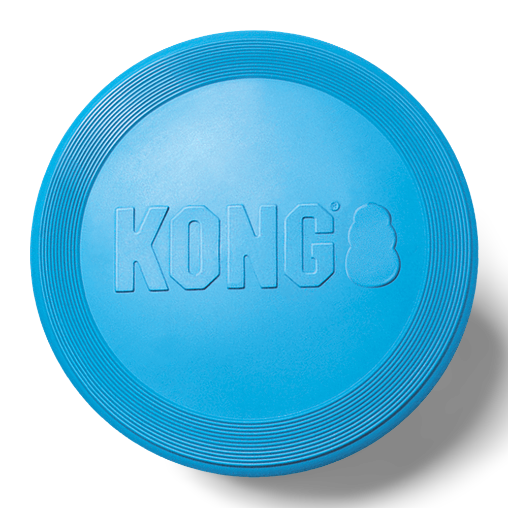 kong puppy flyer