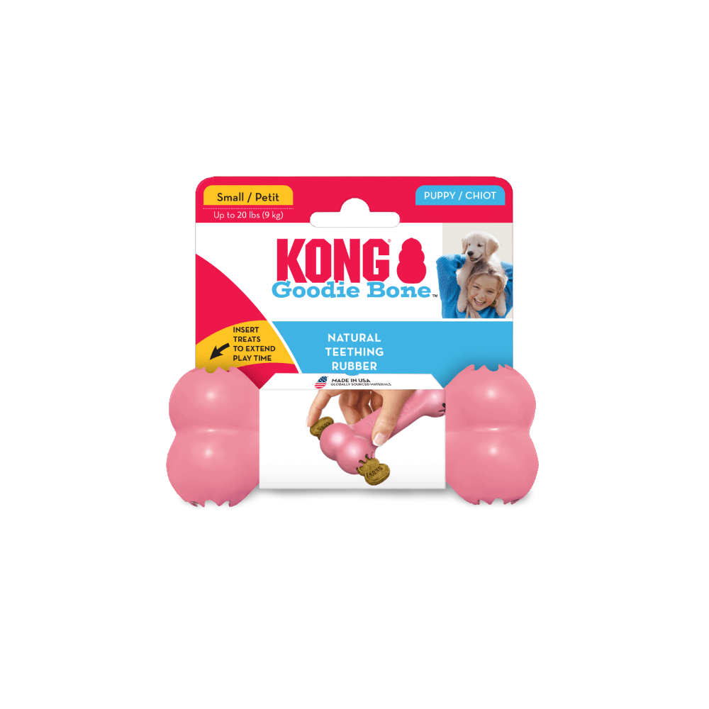 kong puppy