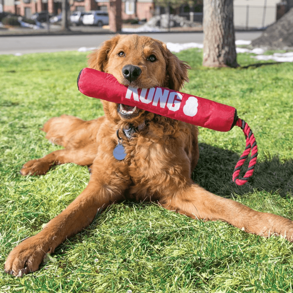 Buy Kong Signature Stick With Rope Dog Toy Online Better Prices At