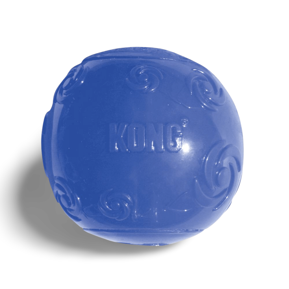 kong indestructible ball