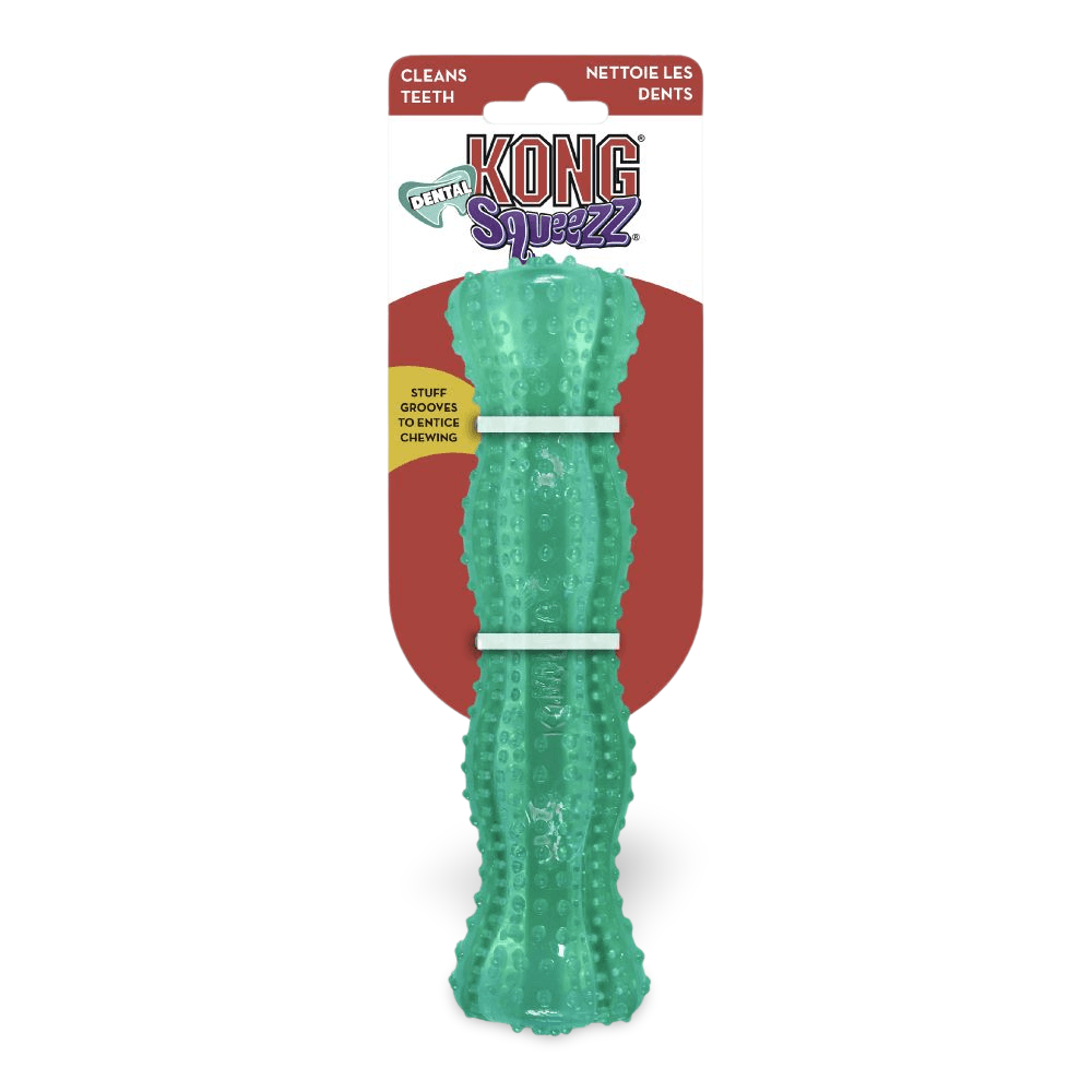 kong dental toy