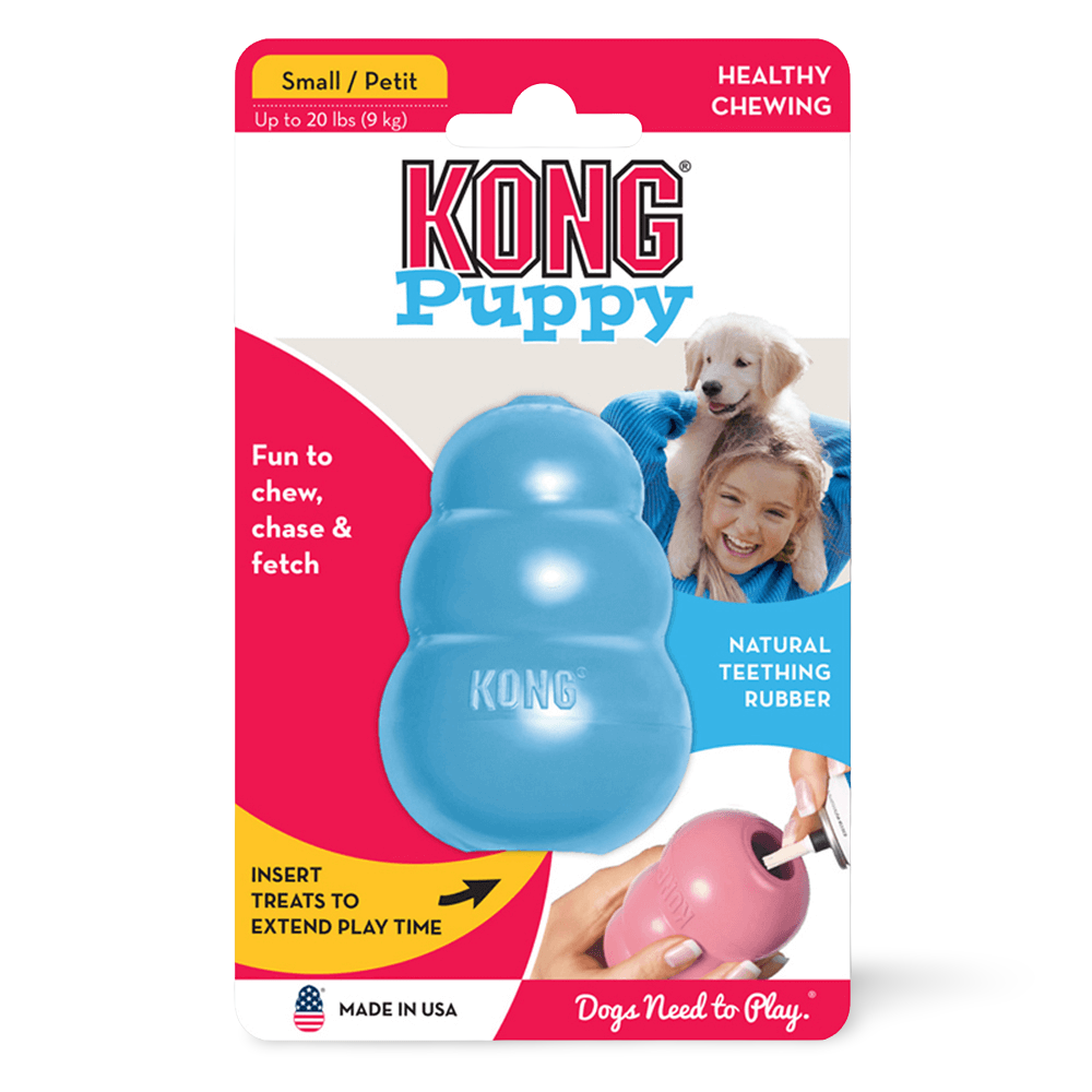 kong small