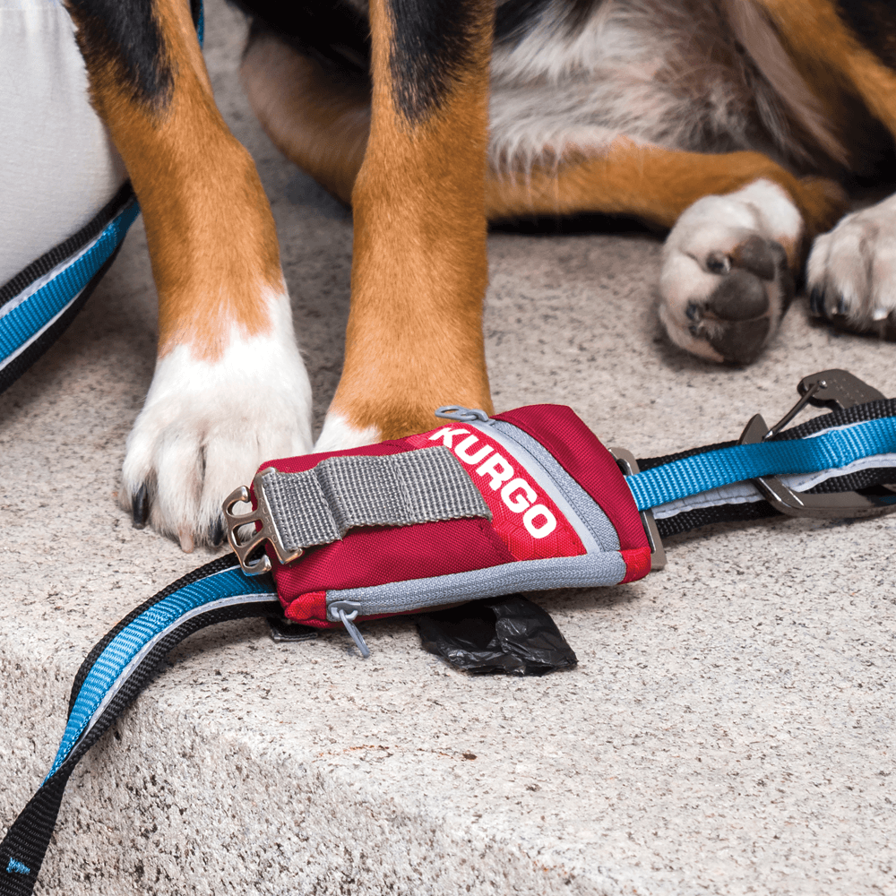 kurgo bag