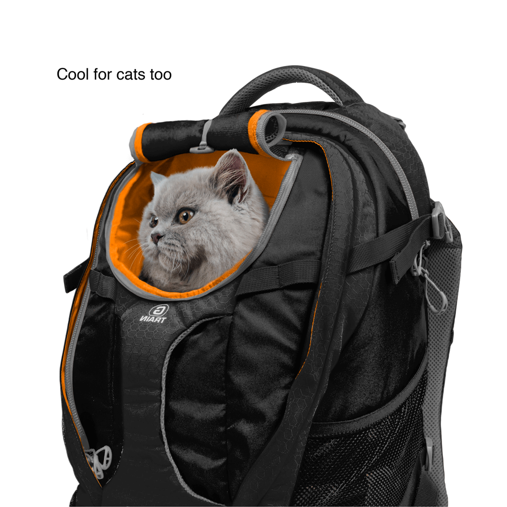kurgo k9 backpack