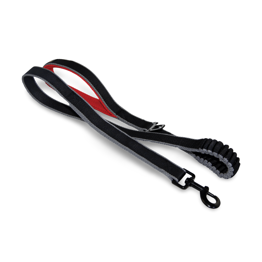 dog jogging leash