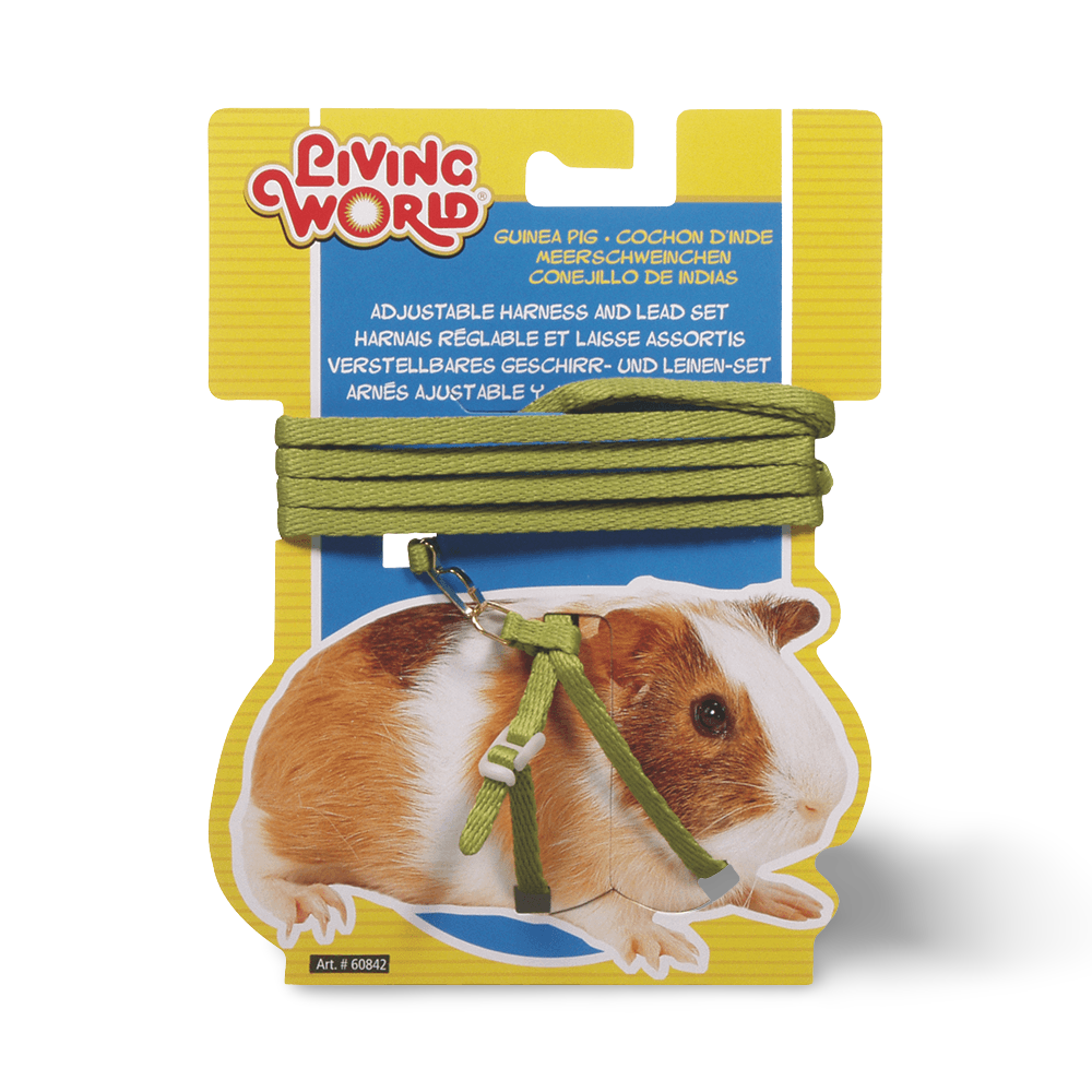 Buy Living World Guinea Pig Harness Lead Set Green Online Better