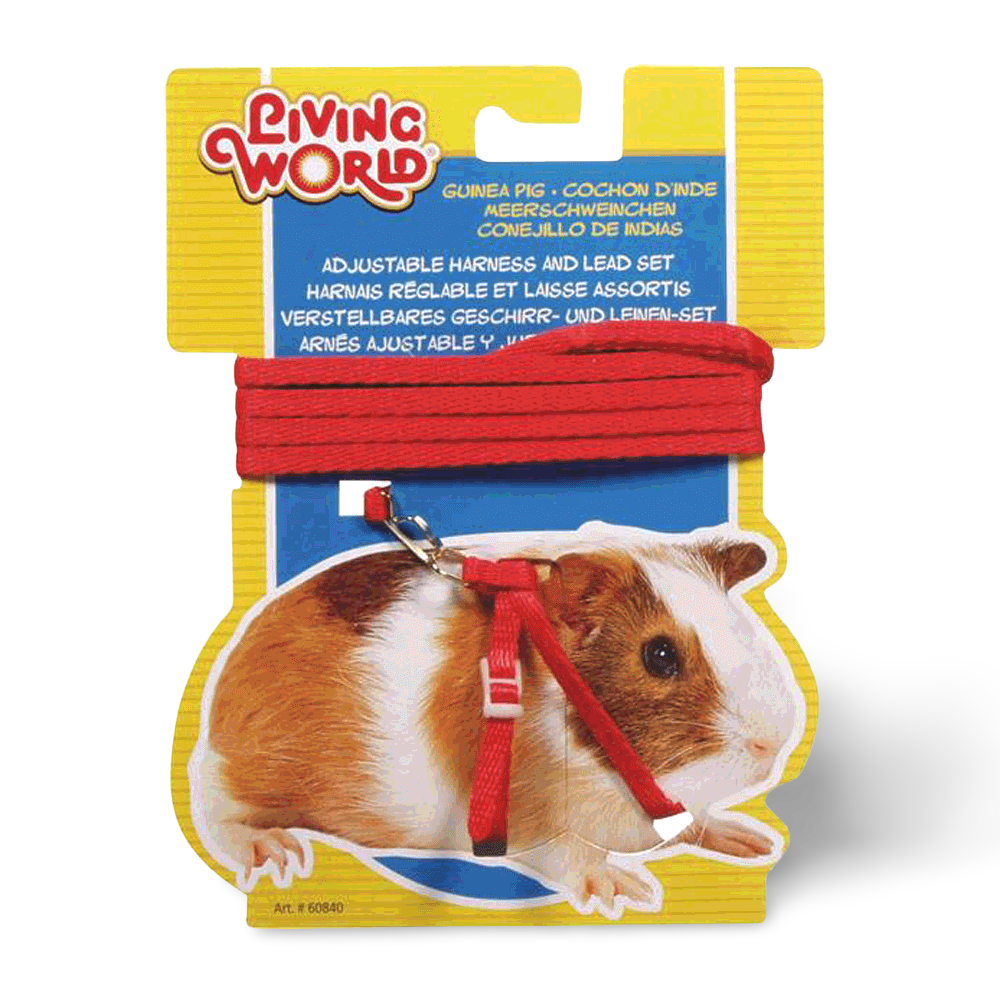 small world guinea pig food