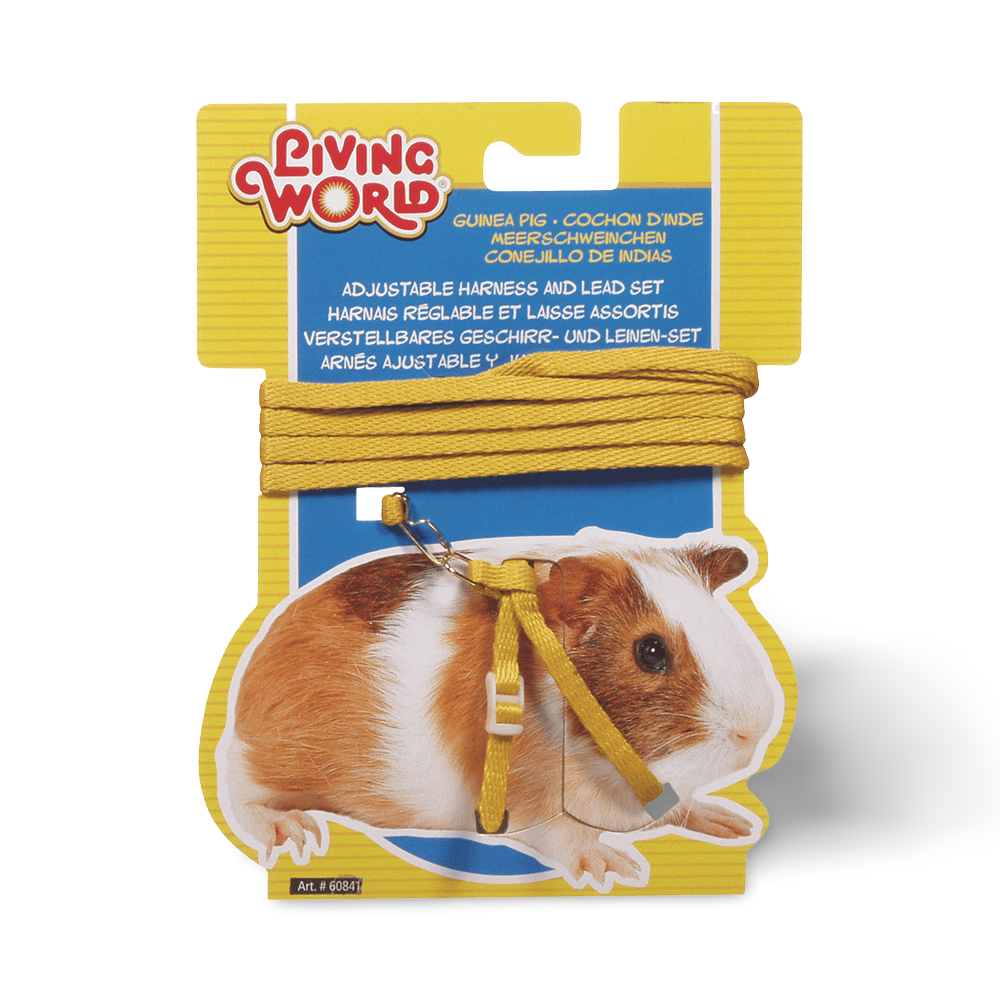 Buy Living World Guinea Pig Harness Lead Set Yellow Online Better