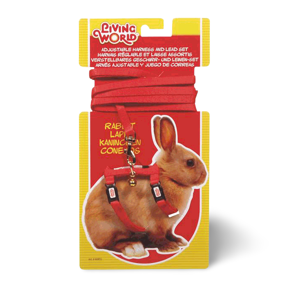 Buy Living World Rabbit Harness Lead Set Red Online Low Prices, Free