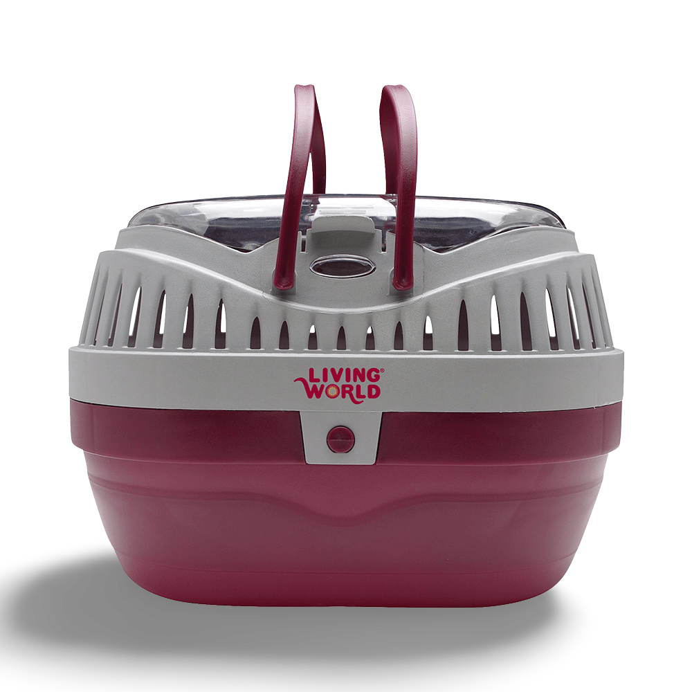 small pet carrier