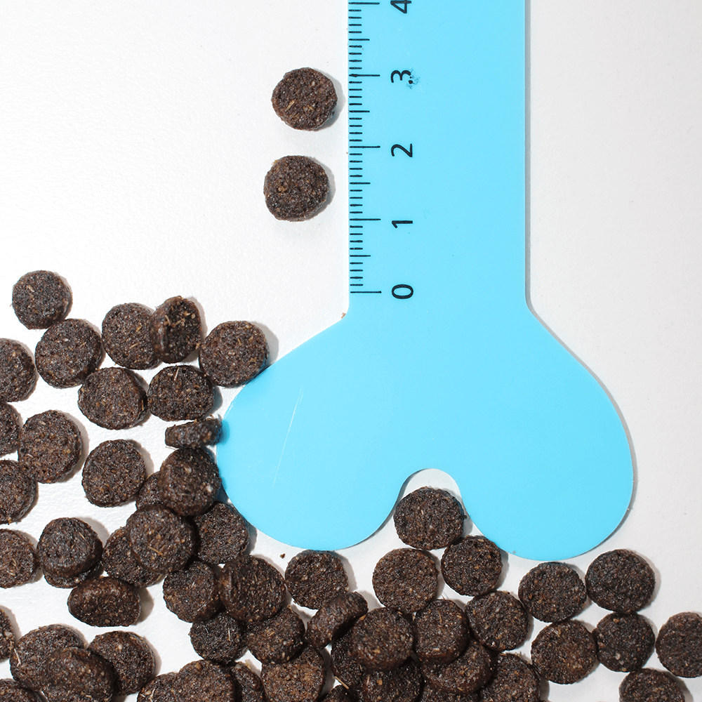 meals for mutts salmon and sardine